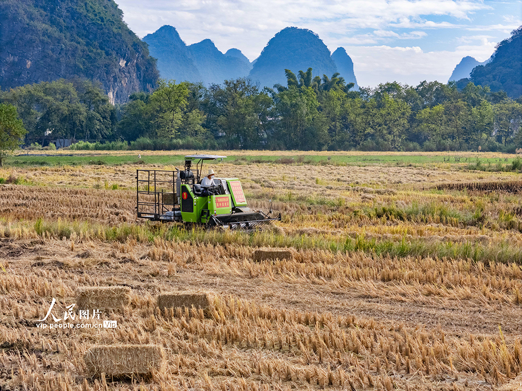广西贺州：秸秆回收 变废为宝【5】