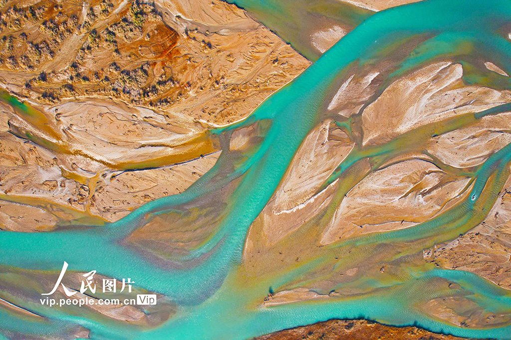 新疆乌什:托什干河湿地冬日生机盎然【4】