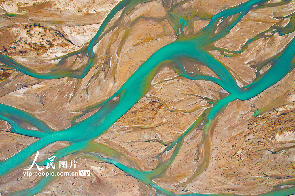 新疆乌什:托什干河湿地冬日生机盎然【5】