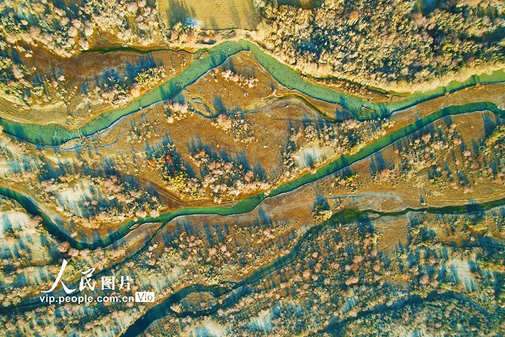 新疆乌什:托什干河湿地冬日生机盎然【8】