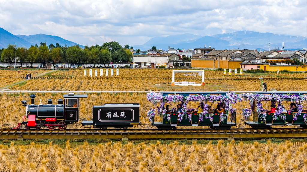 游客在喜洲古镇乘坐观光小火车（11月24日摄，无人机照片）。