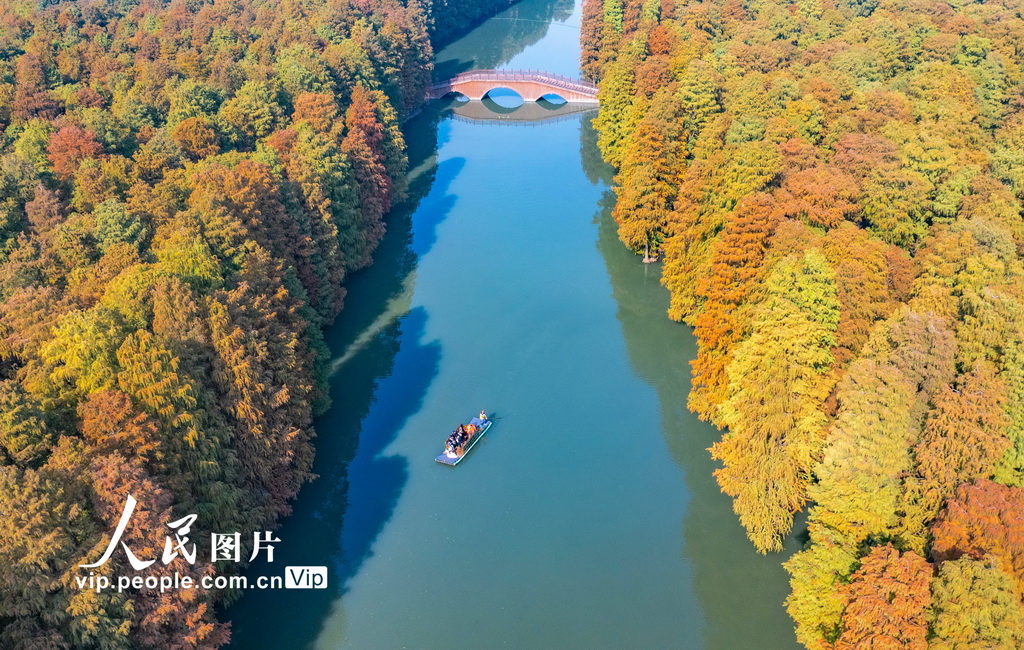 江苏兴化：湿地公园冬景如画【5】