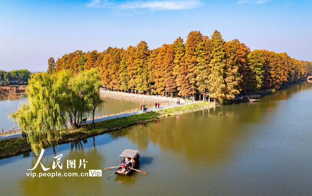 江苏兴化：湿地公园冬景如画【7】