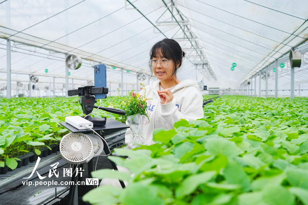 重庆：智慧工厂育苗忙【5】