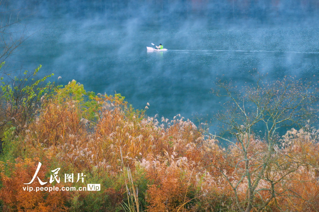 安徽宁国：落羽杉湿地公园晨雾缭绕【3】