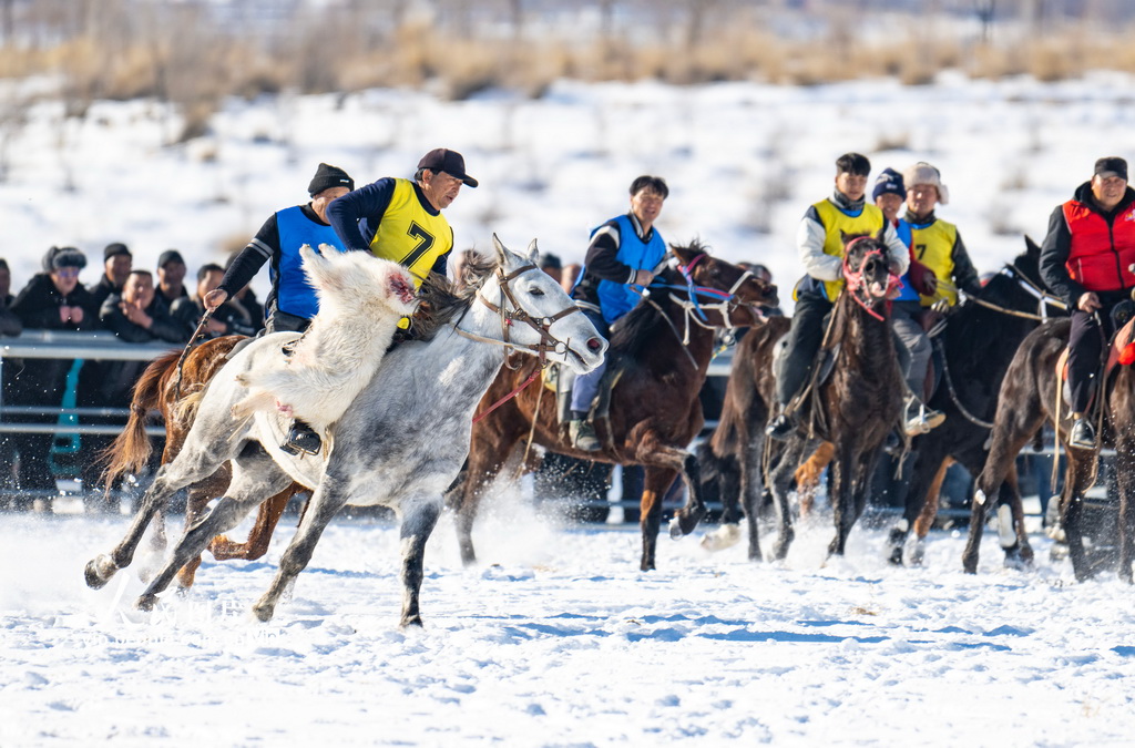 新疆吉木萨尔：雪地叼羊比赛精彩纷呈【3】