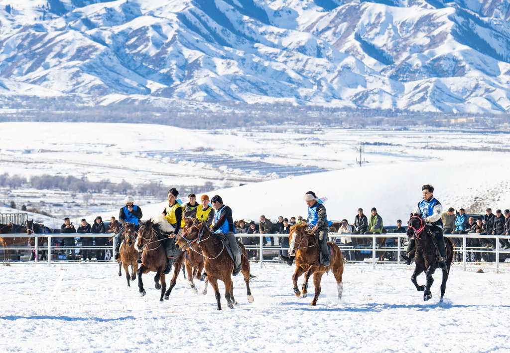 新疆吉木萨尔：雪地叼羊比赛精彩纷呈【5】