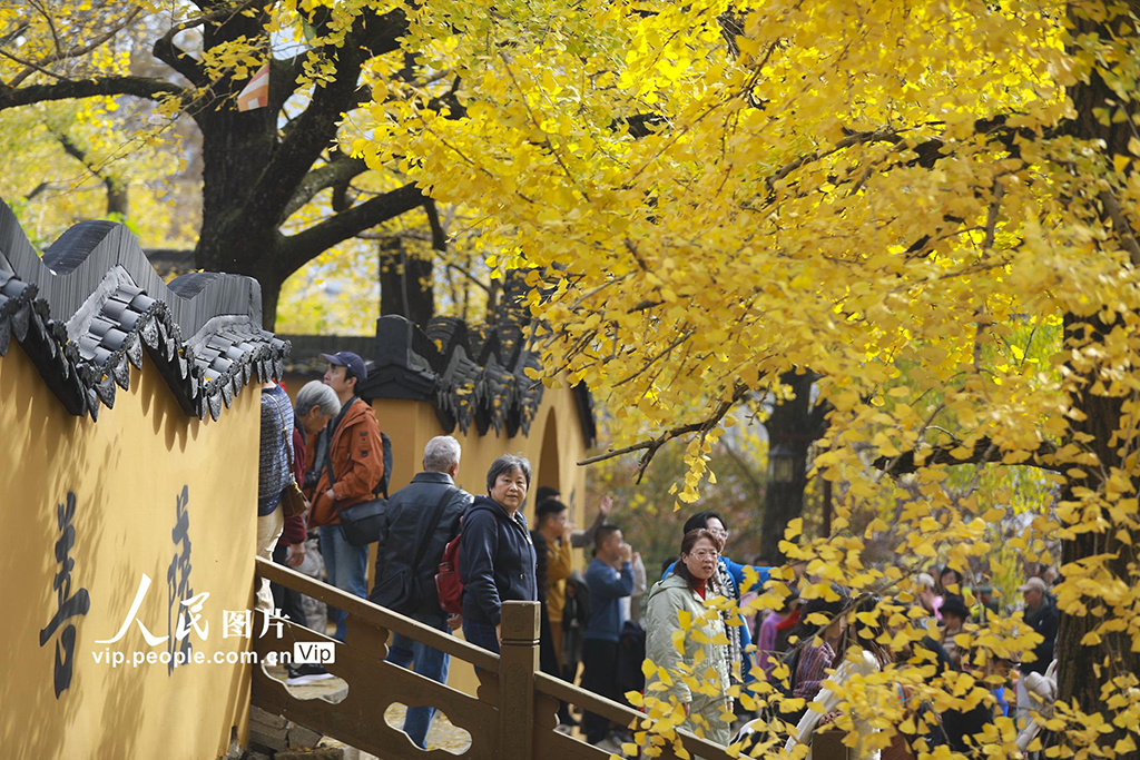 浙江长兴：古寺披金装 游人打卡热【6】