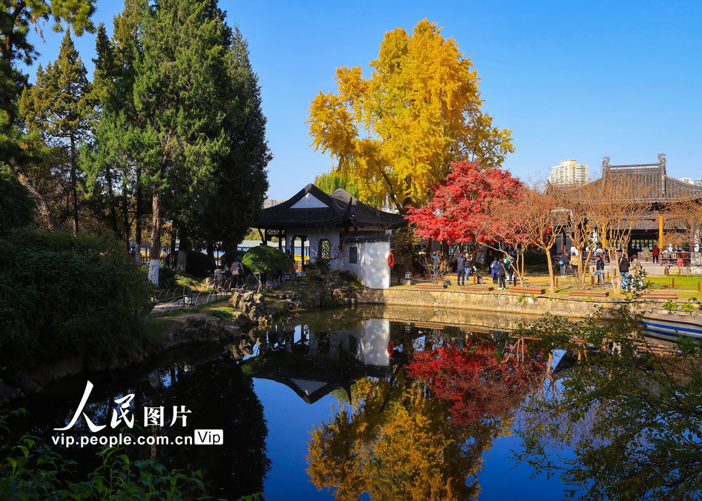 2025年11月28日，游客在南京莫愁湖公园赏景游玩。