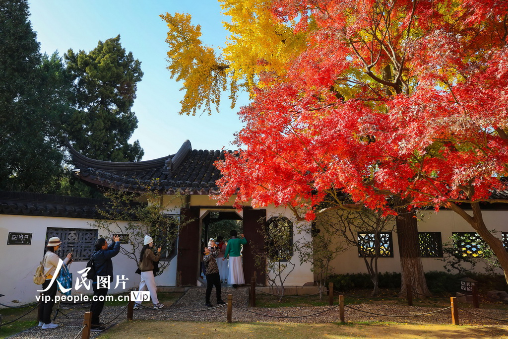 2025年11月28日，游客在南京莫愁湖公园赏景游玩。