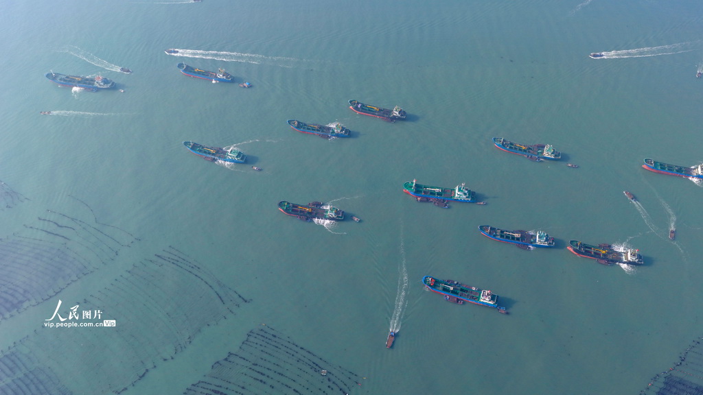 山东荣成：鲍鱼苗“南迁”【3】