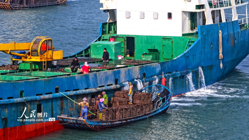 山东荣成：鲍鱼苗“南迁”【4】