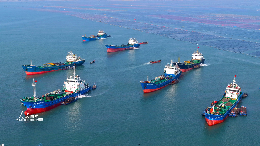 山东荣成:鲍鱼苗“南迁”【5】