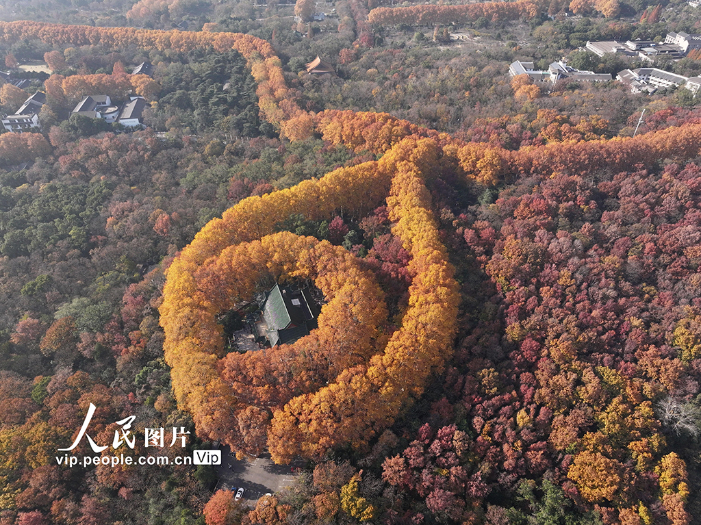 江苏南京：美龄宫宛如金色项链上的宝石【2】