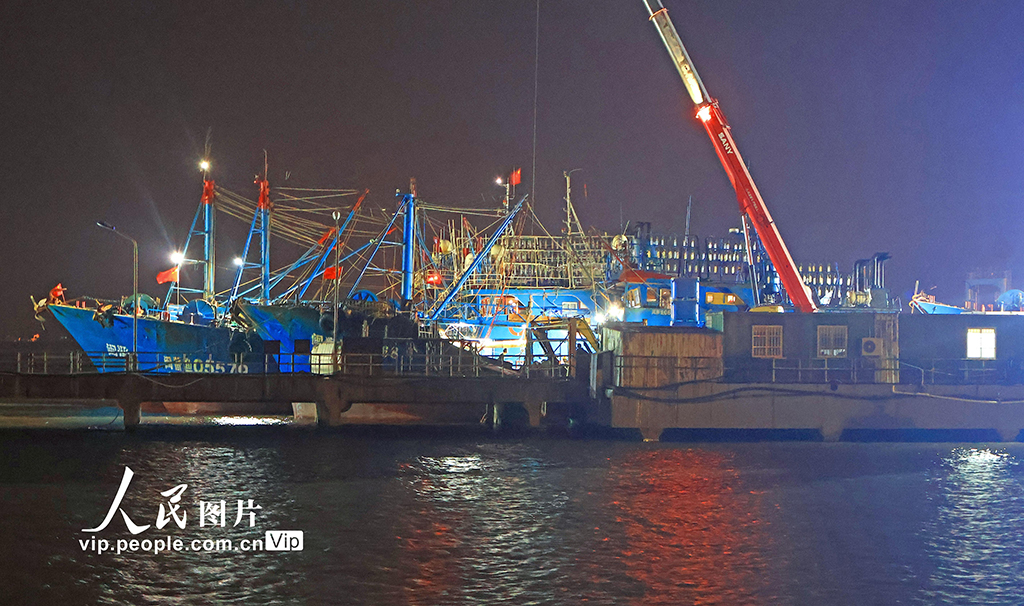 浙江玉环：冬捕丰收鱼满仓【3】