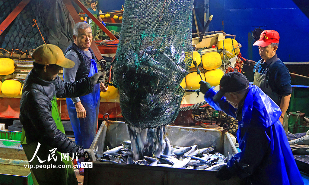 浙江玉环：冬捕丰收鱼满仓【5】