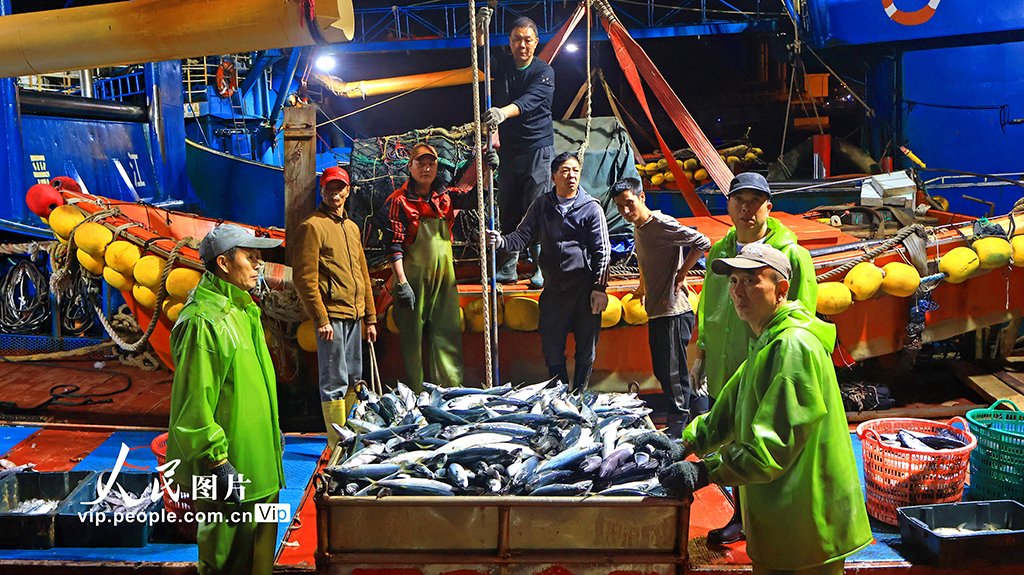 浙江玉环：冬捕丰收鱼满仓【7】