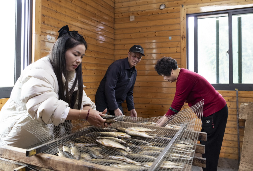 12月3日，赤溪村村民在烤制香鱼。