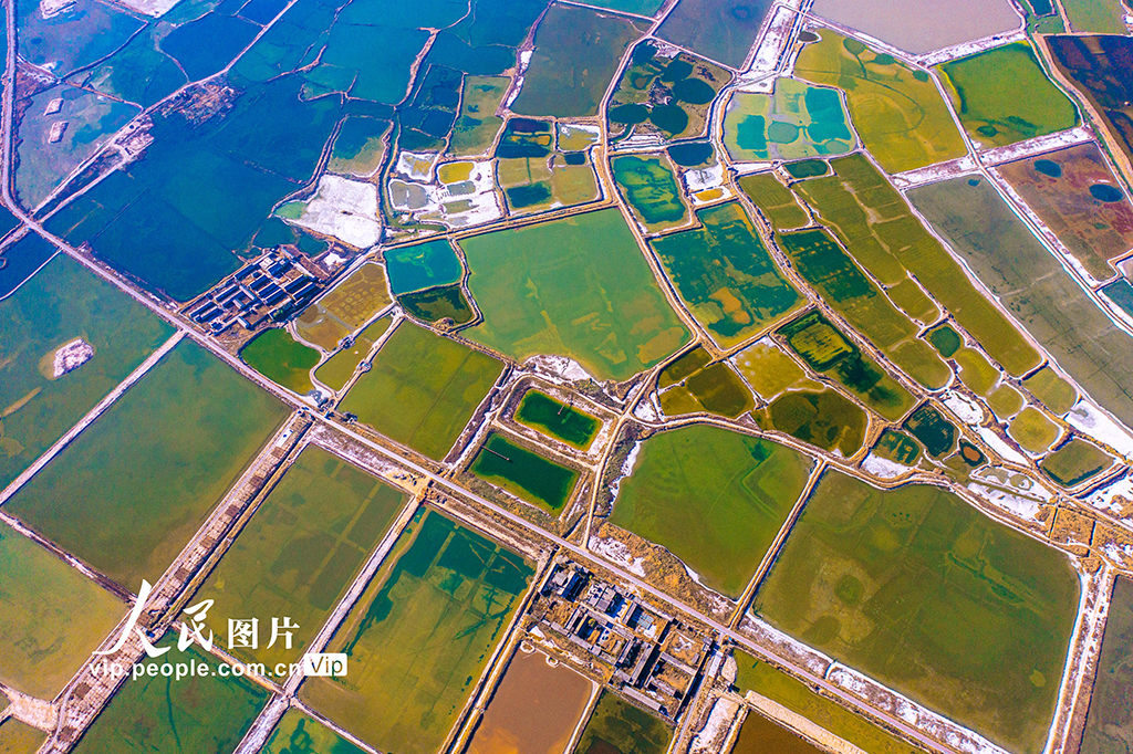 山西运城：冬日盐湖色彩斑斓【3】