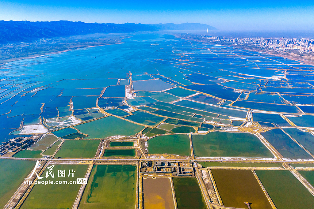 山西运城：冬日盐湖色彩斑斓【4】