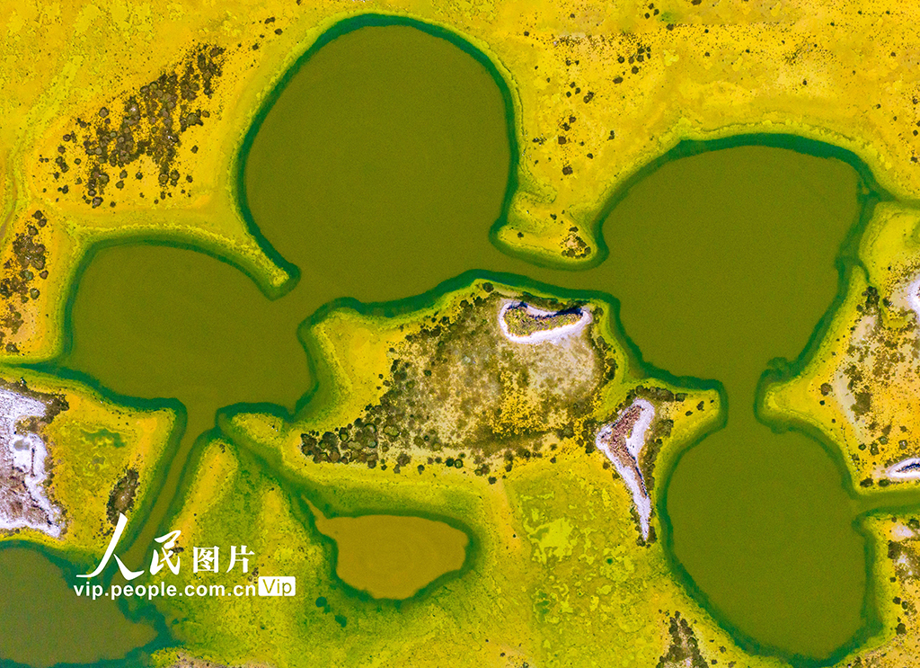 山西运城:冬日盐湖色彩斑斓【5】