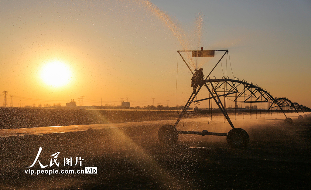 山东广饶:浇灌冬小麦【2】