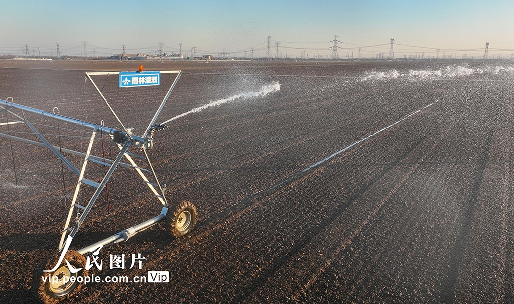 山东广饶:浇灌冬小麦【3】