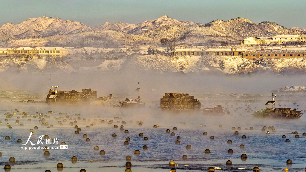 山东荣成：爱伦湾海域现“海浩”景观【2】