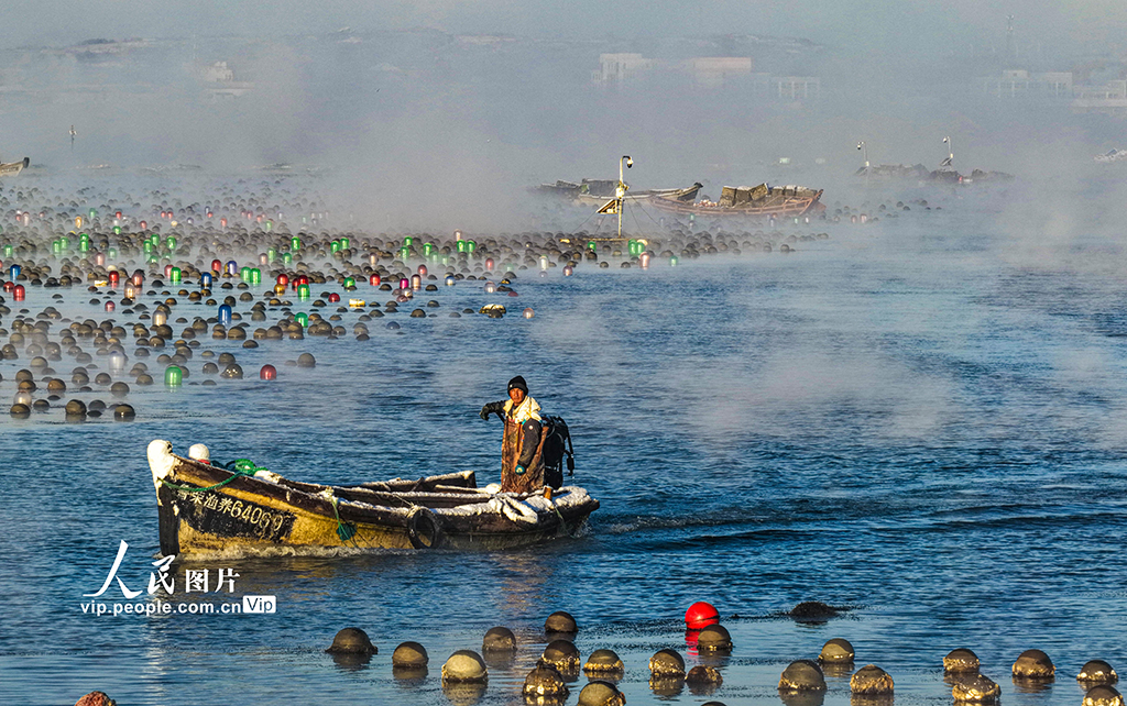 山东荣成：爱伦湾海域现“海浩”景观【3】