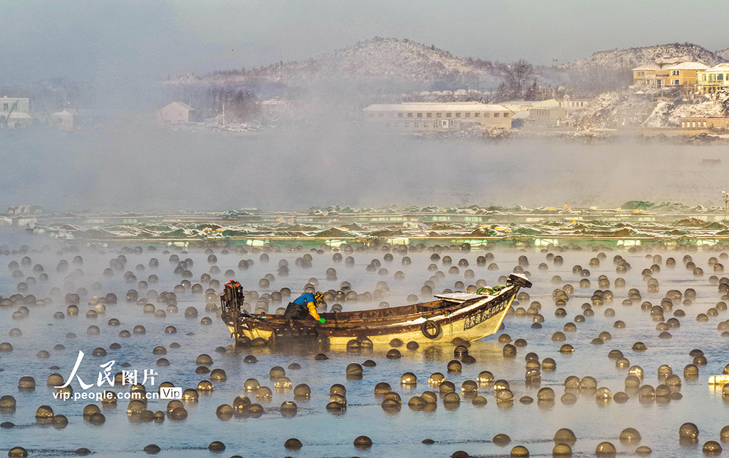 山东荣成:爱伦湾海域现“海浩”景观【4】