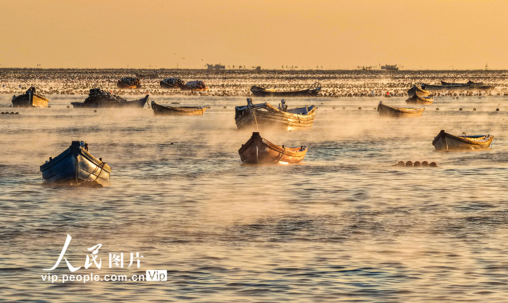 山东荣成:爱伦湾海域现“海浩”景观【5】