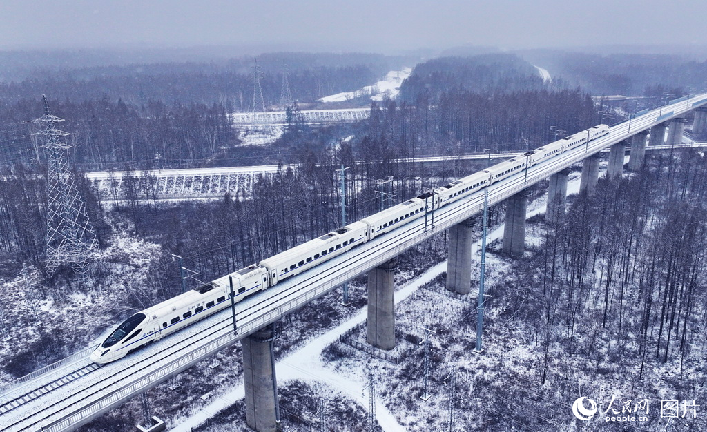 一列和谐号动车组列车行驶在沈白高铁长白山区段线路上。