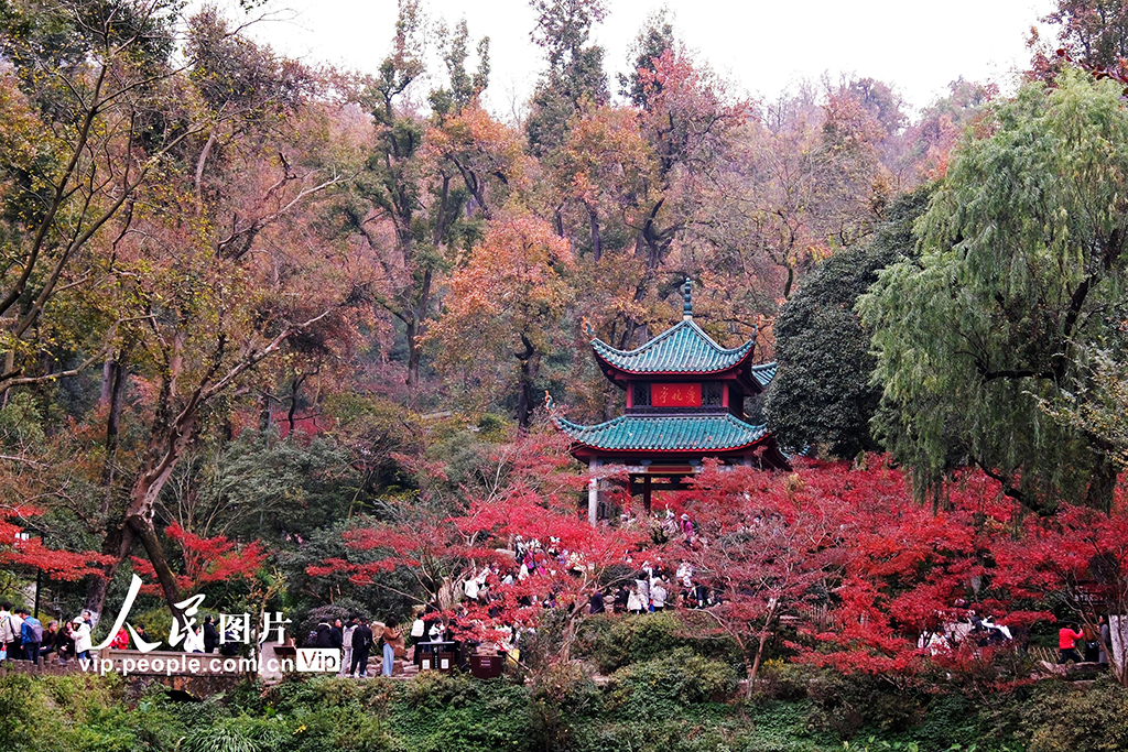 湖南长沙：爱晚亭赏枫【4】