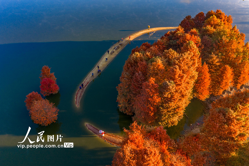 浙江绍兴：层林尽染【4】