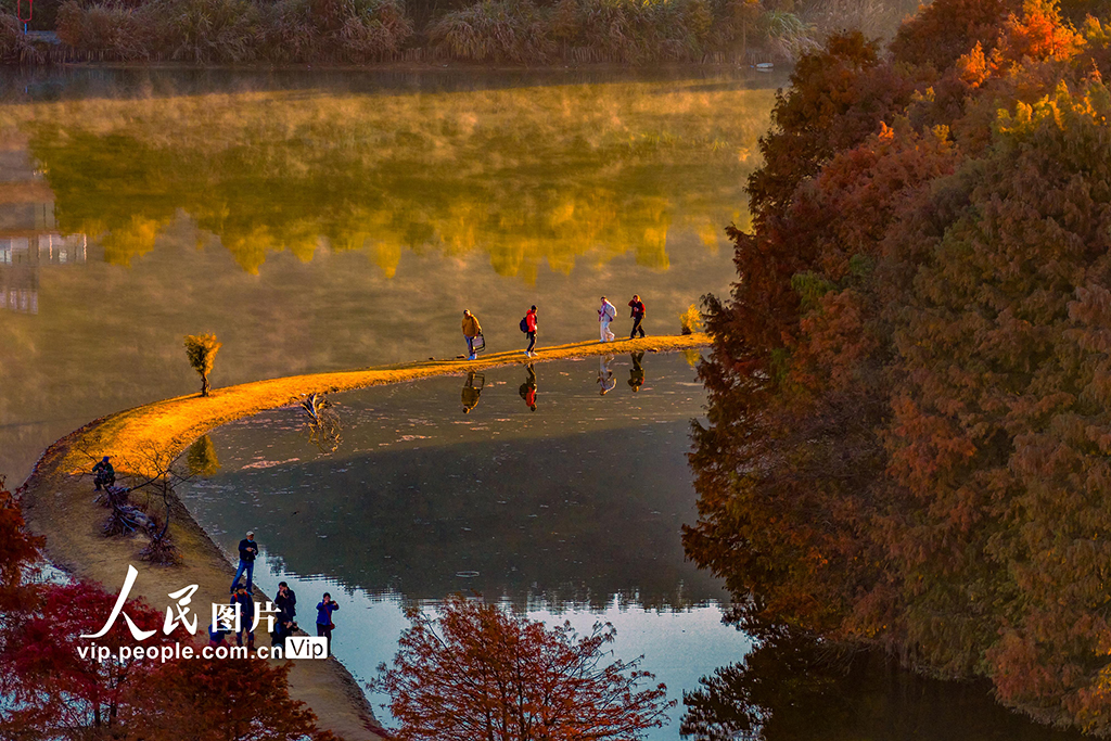 浙江绍兴：层林尽染【5】