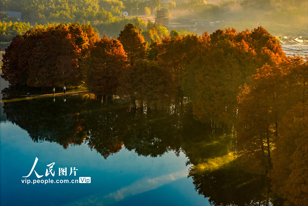 浙江绍兴：层林尽染【3】