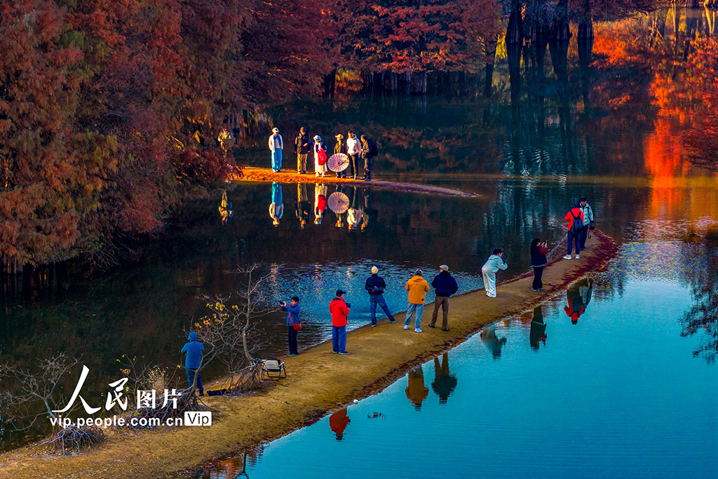 浙江绍兴：层林尽染【7】