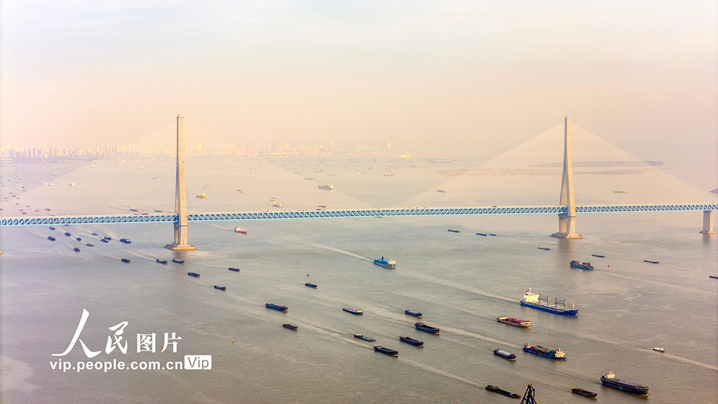 江苏南通：长江运输忙【2】