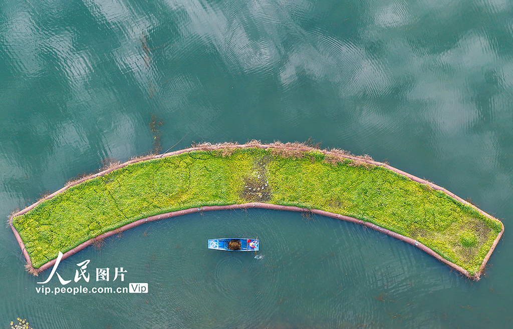 安徽芜湖：河道清漂 守护碧水【3】