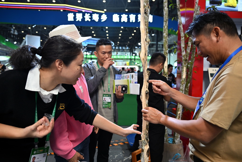 12月4日，观众在海南冬交会现场了解沉香木。
