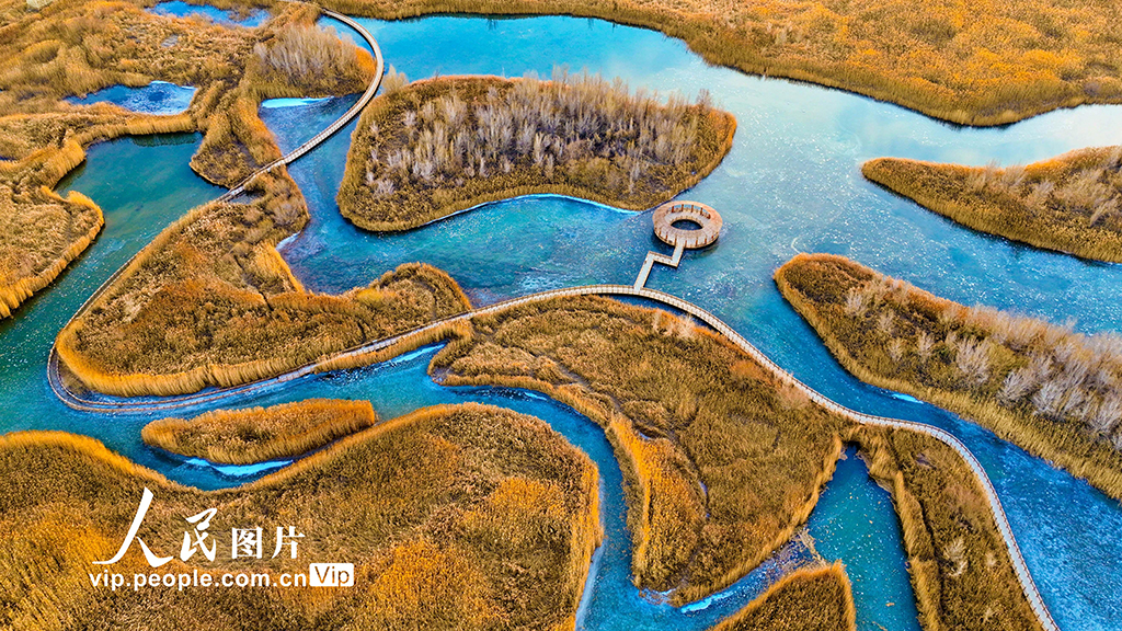 甘肃张掖：湿地披“金” 碧水为镜【2】