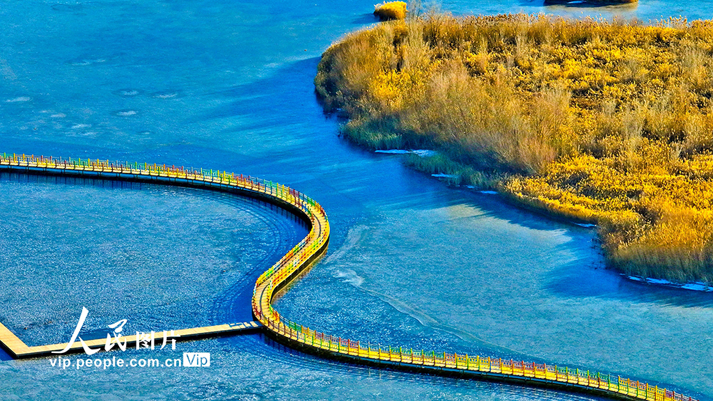 甘肃张掖：湿地披“金” 碧水为镜【3】