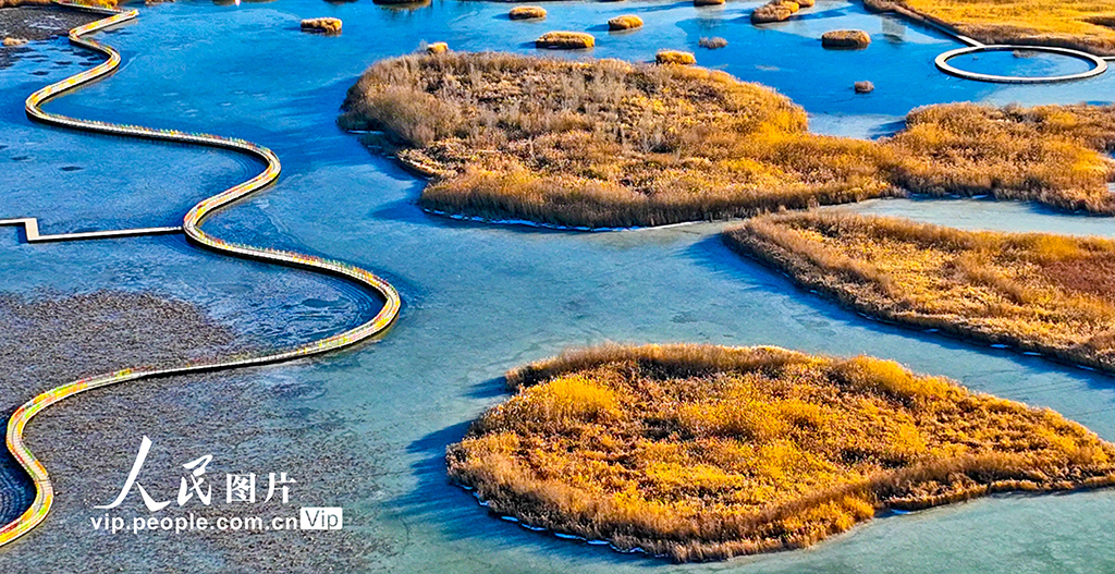 甘肃张掖：湿地披“金” 碧水为镜【6】