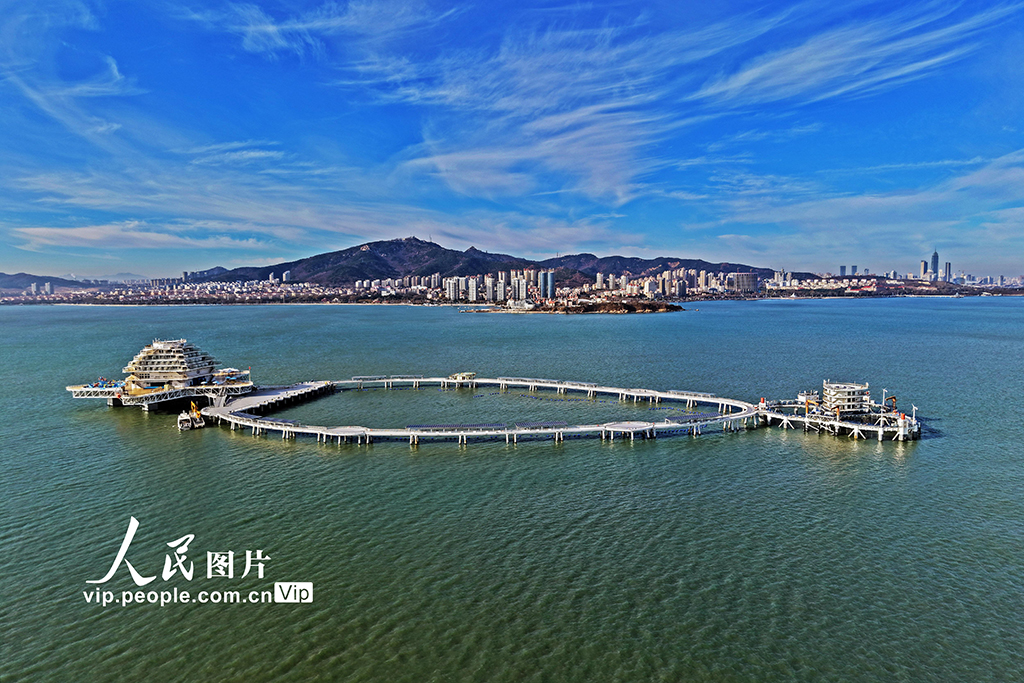山东烟台：打造智慧海洋牧场 助力海洋经济高质量发展【3】