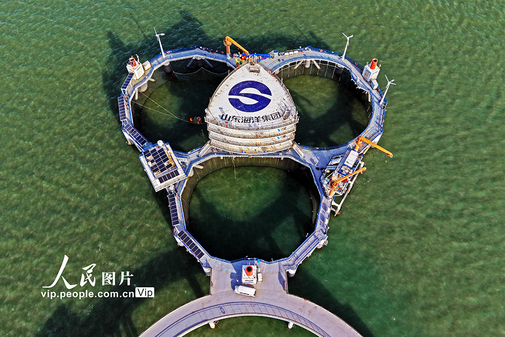山东烟台:打造智慧海洋牧场 助力海洋经济高质量发展【8】