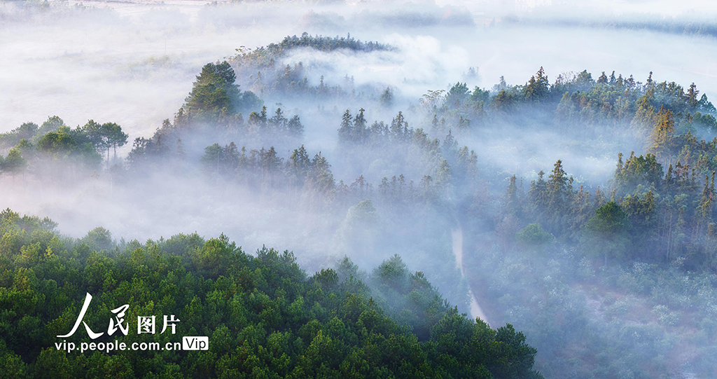 湖南嘉禾：冬日晨曦美如画【6】