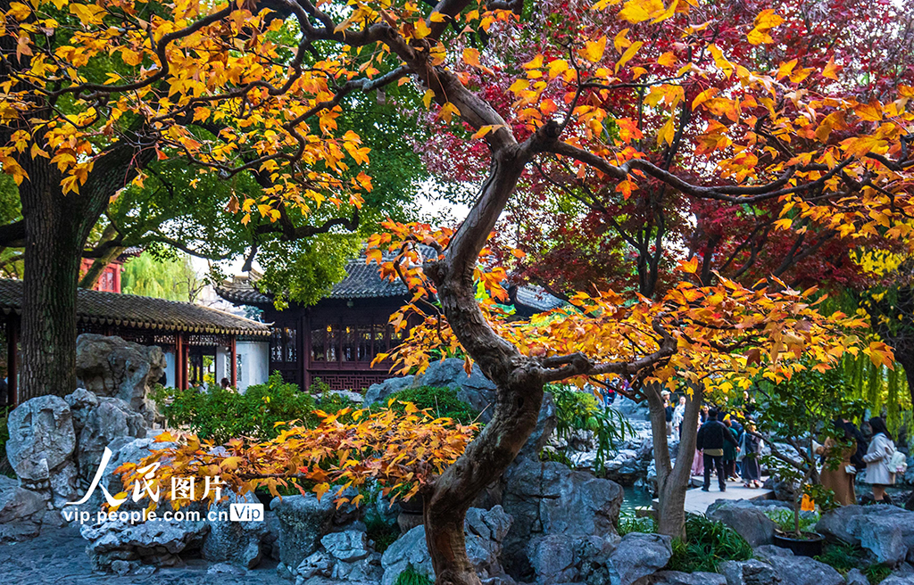 上海:豫园色彩斑斓迎客来【3】