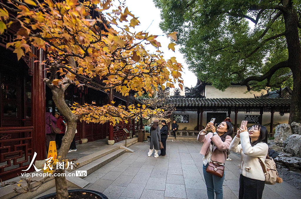上海：豫园色彩斑斓迎客来【5】