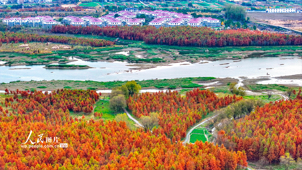 浙江淳安：武强溪生态湿地五彩斑斓【3】