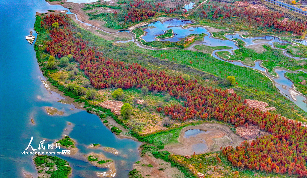 浙江淳安：武强溪生态湿地五彩斑斓【6】